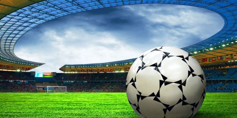 Dịch vụ chăm sóc khách hàng tận tâm và chuyên nghiệp